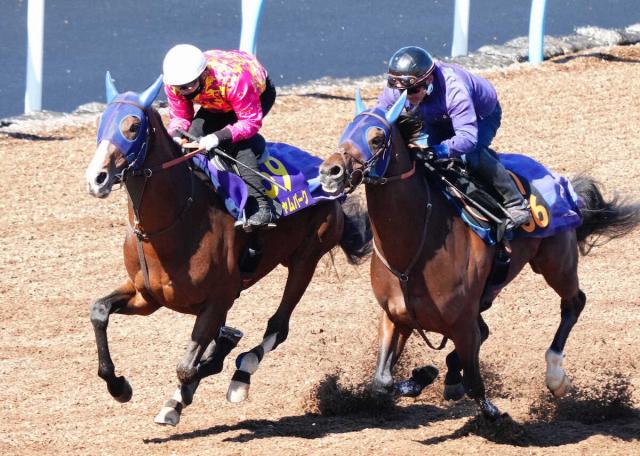 香港カップ(G1)まとめ】2022年12月11日に香港・シャティン競馬場で開催