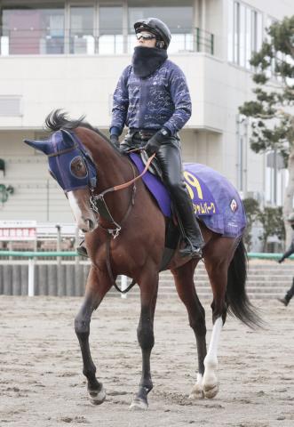 香港カップ(G1)まとめ】2022年12月11日に香港・シャティン競馬場で開催