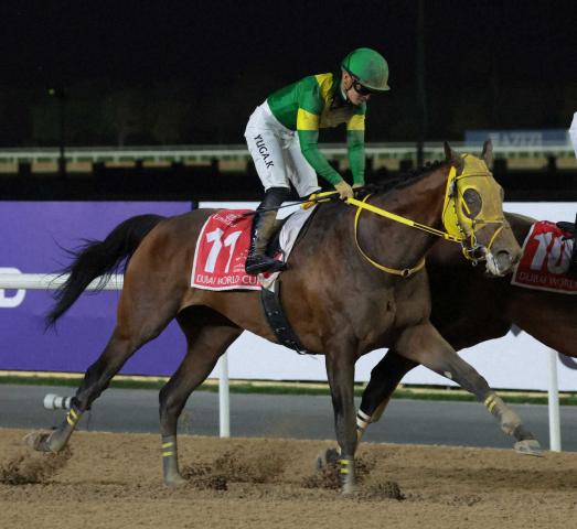 国内発送 浦和競馬場 スピーディキック 記念パーカー 黒 御神本騎手 