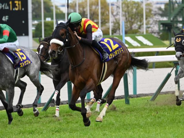 写真まとめ】2024年上半期G1の振り返り 春の中央競馬(JRA)G1の