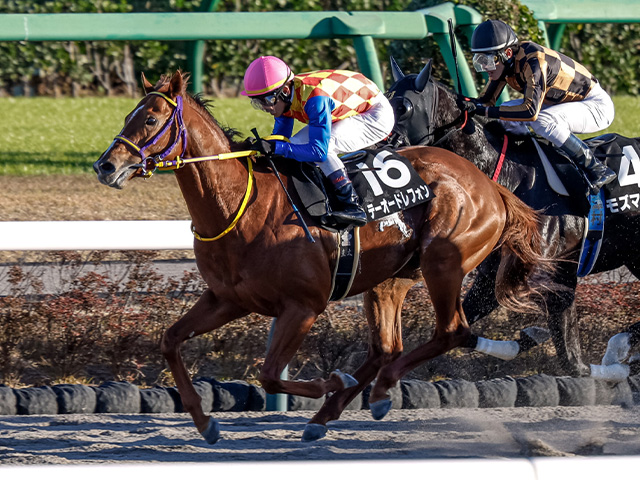 ジャパンカップ 2023結果情報】イクイノックスが破竹のGI・6連勝 