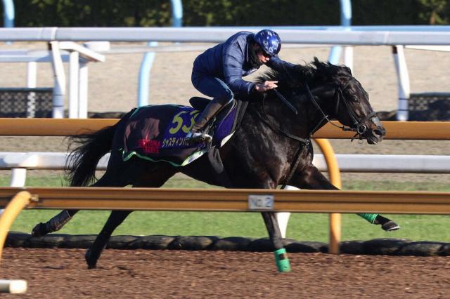 フェブラリーステークス 2024結果情報】大荒れのフェブラリーSを制した 