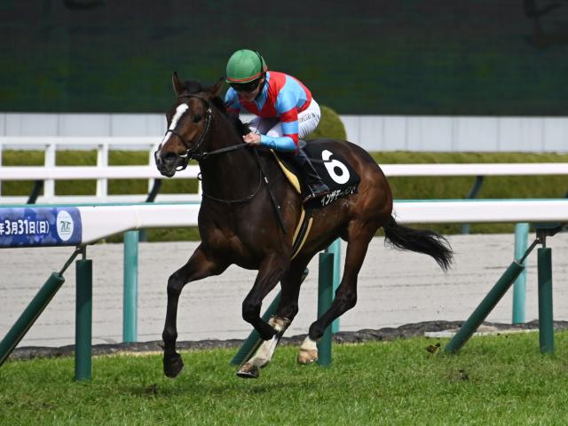 京都新聞杯予想】過去10年のレース結果（1～3着馬）のデータ一覧/競馬予想データ | 競馬まとめ - netkeiba