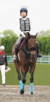  【ヴィクトリアM】横山琉人G1初騎乗!フィールシンパシーと恩返しVへ
