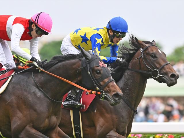 【日本ダービー○○なら史上初】今年は異例のローテで挑む馬多数 青葉賞組やスプリングSから勝利なら…