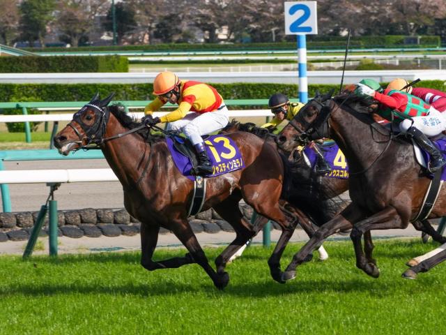 【日本ダービー○○なら史上初】いよいよ親仔三代制覇が誕生か 今年は7頭に権利あり！