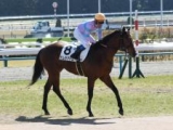 【葵S枠順確定】ナムラアトムは1枠1番、エトヴプレは5枠10番