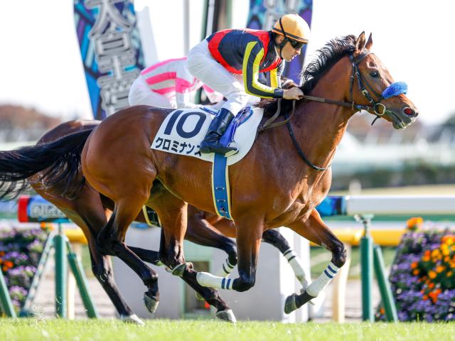 目黒記念予想】過去データから浮かび上がる押さえるべき馬は？ 過去10年のレース結果（1～3着馬）のデータ一覧/競馬予想データ | 競馬まとめ -  netkeiba