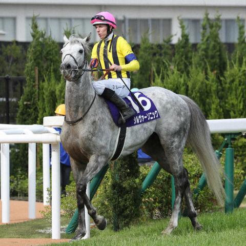 シルヴァーソニック引退　繋靱帯炎を発症、今後は社台ファームで乗馬に