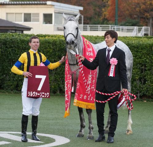 シルヴァーソニック　けいじん帯炎発症で引退…今後は社台ファームで乗馬となる予定