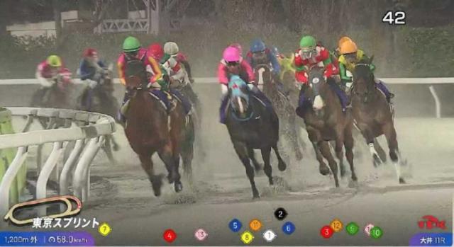大井競馬がトラッキングシステム導入　6月5日東京ダービーからスタート
