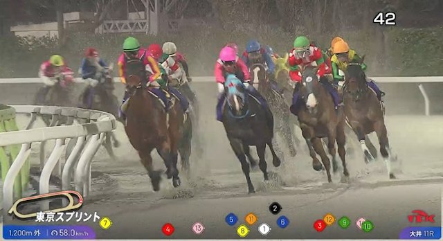 大井競馬でトラッキングシステムの運用開始 東京ダービーからスタート