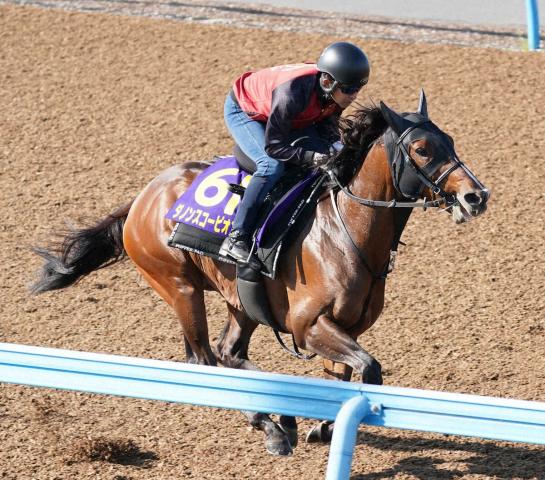 京王杯スプリングカップ2024結果情報】ウインマーベルがレッド 