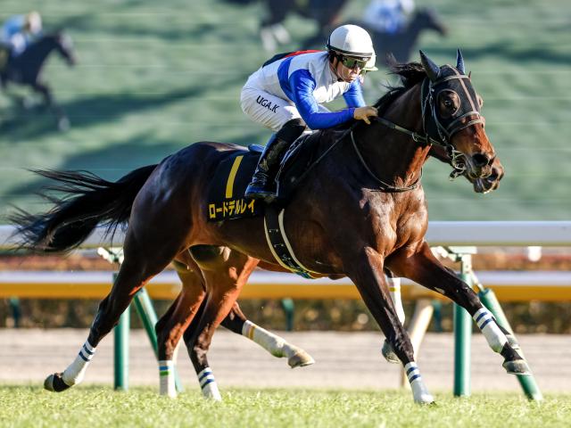 【鳴尾記念予想】今年は“京都”での開催 立ち回りの上手さが勝利のカギ握る