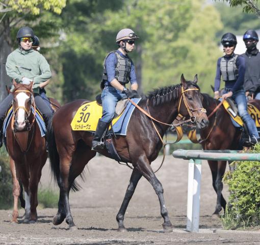 宝塚記念2024】枠順・出走馬・日程・レース概要・歴代優勝馬
