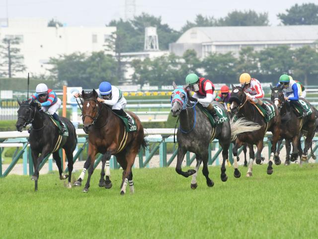 【マーメイドS予想】京都開催でも軽量タイプの人気薄は走る？ 過去データから探るGIIIマーメイドS
