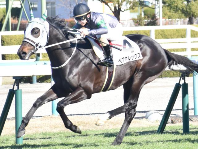 北九州記念予想】過去10年のレース結果（1～3着馬）のデータ一覧/競馬予想データ | 競馬まとめ - netkeiba