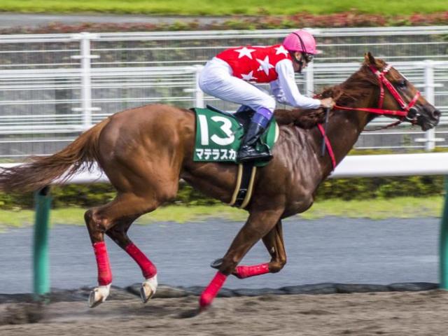 急逝が惜しまれるマテラスカイ レコードで重賞初制覇を決めたプロキオンS