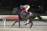  【大井・優駿スプリント】ティントレット初戴冠!直線押し切り