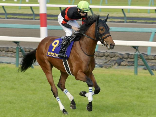 函館記念予想】過去10年のレース結果（1～3着馬）のデータ一覧/競馬予想データ | 競馬まとめ - netkeiba