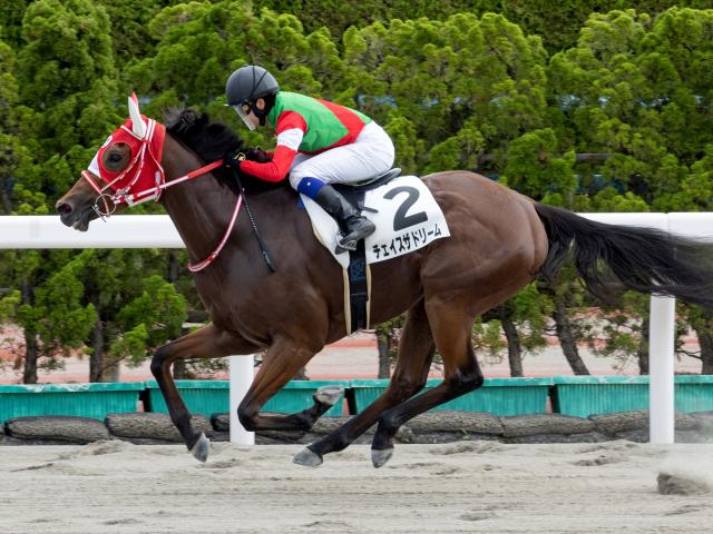 【アイビスSD予想】“新潟名物”が今年もやってくる 特殊なコース設定だけに適性と枠順がカギ