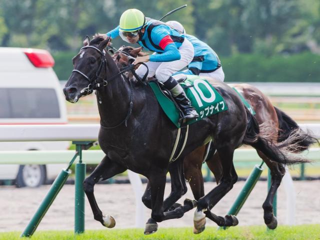 G1優勝馬の単勝オッズ 高配当ランキングTOP10 | 競馬まとめ - netkeiba