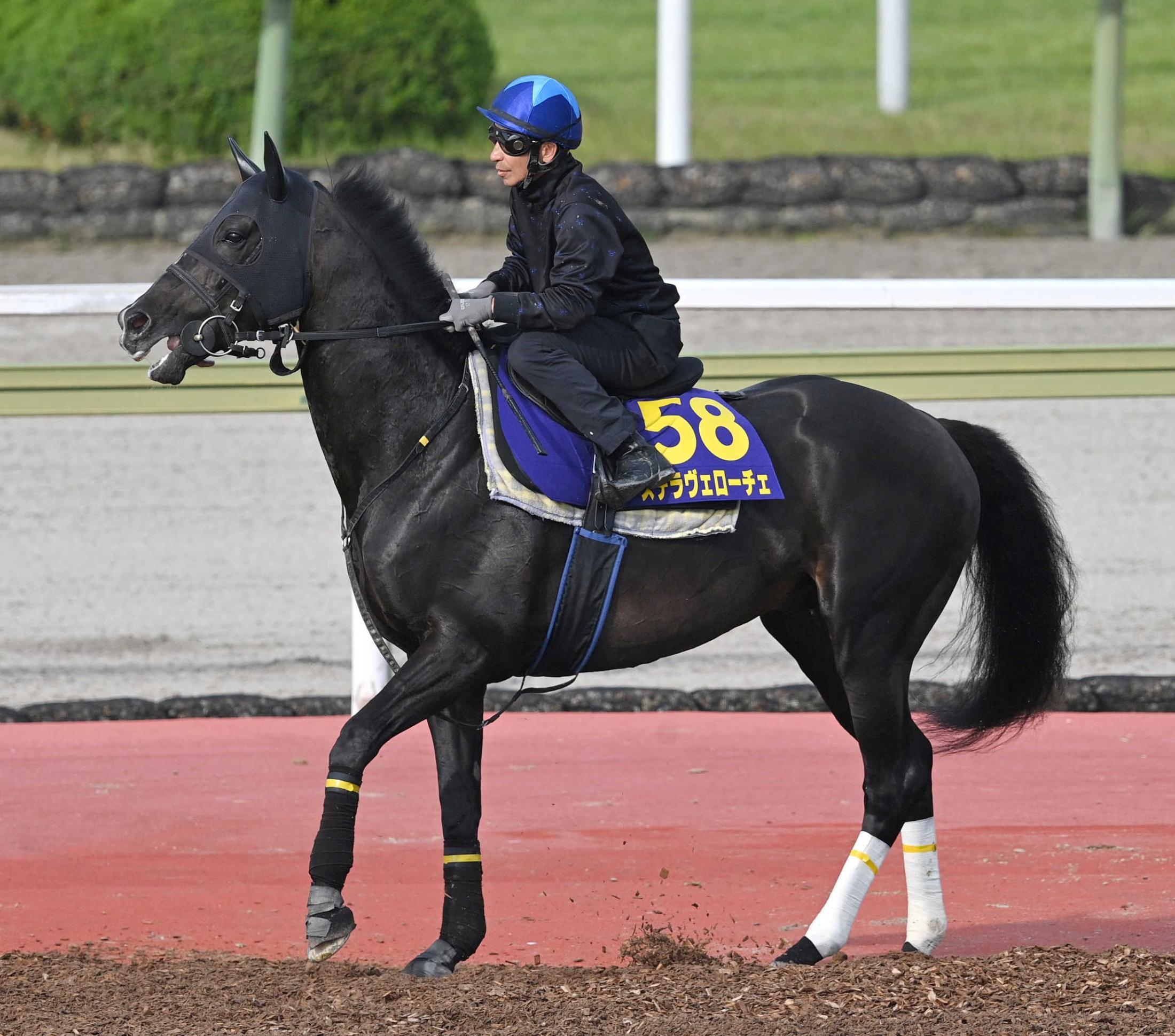 大阪杯予想】過去傾向からのポイントは前走距離と位置取り！ 過去10年のレース結果（1～3着馬）のデータ一覧/競馬予想データ | 競馬まとめ -  netkeiba