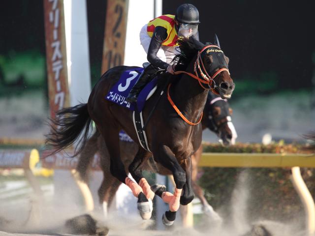 小倉大賞典2022結果】小倉競馬場マイスター・アリーヴォが重賞初制覇！ | 競馬まとめ - netkeiba