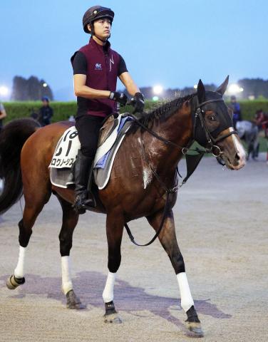 競馬ファンが選ぶ「思い出の日本ダービー馬」ランキングTOP10！/最終結果発表 | 競馬まとめ - netkeiba