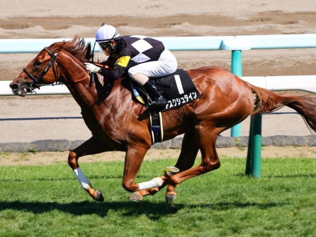 キーンランドカップ2023枠順】全16頭 ナムラクレア・キミワクイーン・ナランフレグなどが出走 | 競馬まとめ - netkeiba