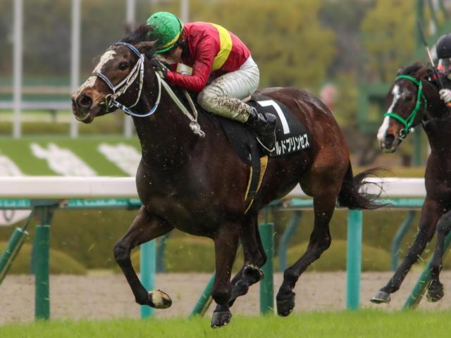 宝塚記念2022結果情報】レコード決着！ タイトルホルダーが阪神競馬場のGIを3連勝！ | 競馬まとめ - netkeiba