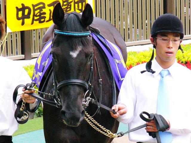 菊花賞(G1)まとめ】2022年10月23日に阪神競馬場で開催！ ニュース・予想・データ・結果・出走馬など最新情報 | 競馬まとめ - netkeiba