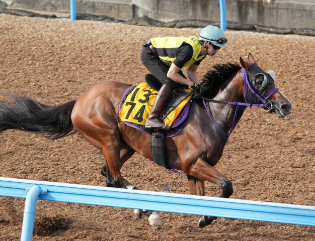 目黒記念予想】過去データから浮かび上がる押さえるべき馬は？ 過去10年のレース結果（1～3着馬）のデータ一覧/競馬予想データ | 競馬まとめ -  netkeiba