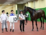  【メイクデビュー中京6Rレース後コメント】ハリーケーン水口優也騎手ら