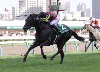  �ڻ��ڣ��Уӡۣ��ֿ͵��ޥ��å����󥺤�̵����Ϣ���ǽž޽�֡������ڡֺǸ�ޤ�ʬ����ʤ��ä��Τ�ɬ���