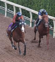  �ڥ���ȥ���S�ۥޥޥ����㡡��ϩ��ư������������١֤����ž夬��ǥȥ饤������פ᤽����