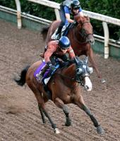  �ڥ���ȥ���ӡۥޥޥ����㡡�����ŷⲦϢ�Ƥص�������������٤⹥�����֤��Ф�����ư���ϡ������ž夬��Ǹ��������