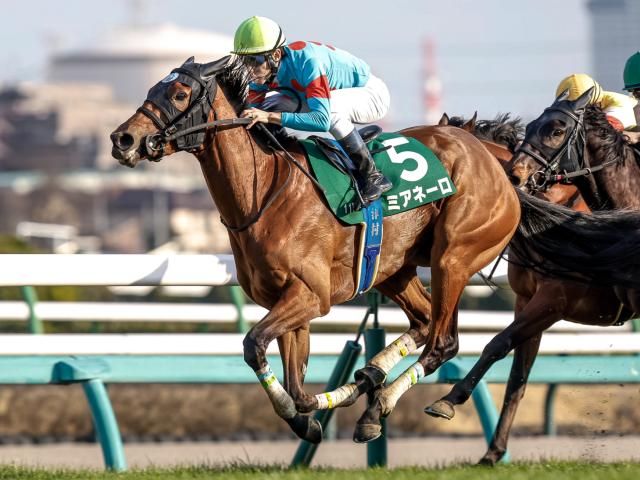 【紫苑S予想】秋華賞を占う意味でも見逃せぬ一戦