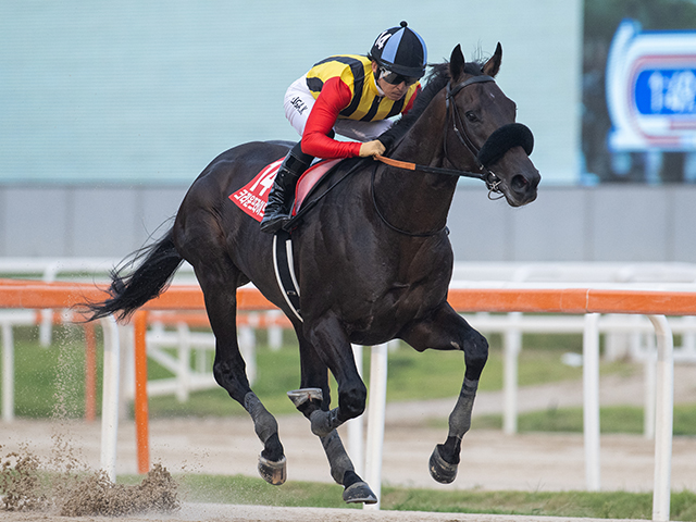 【コリアC結果】クラウンプライドが逃げ切り連覇達成！ ウィルソンテソーロは2着