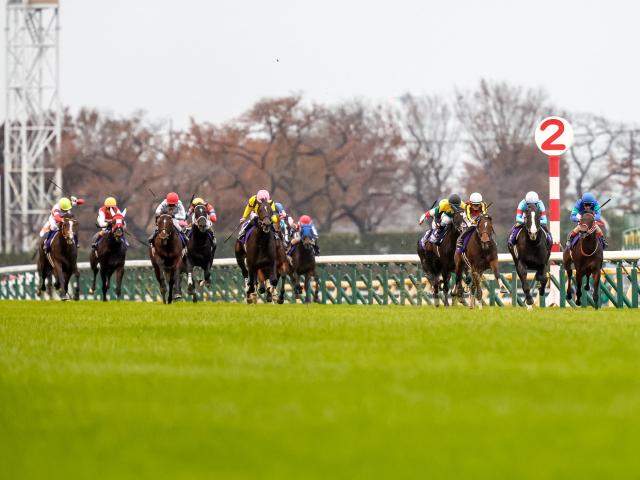オグリキャップ 1990年天皇賞(秋)G1 単勝馬券