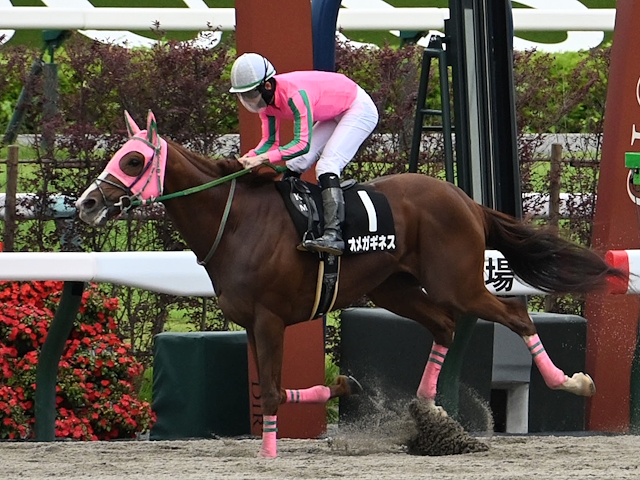 競馬】エスポワールシチー 2009ジャパンカップダート優勝記念