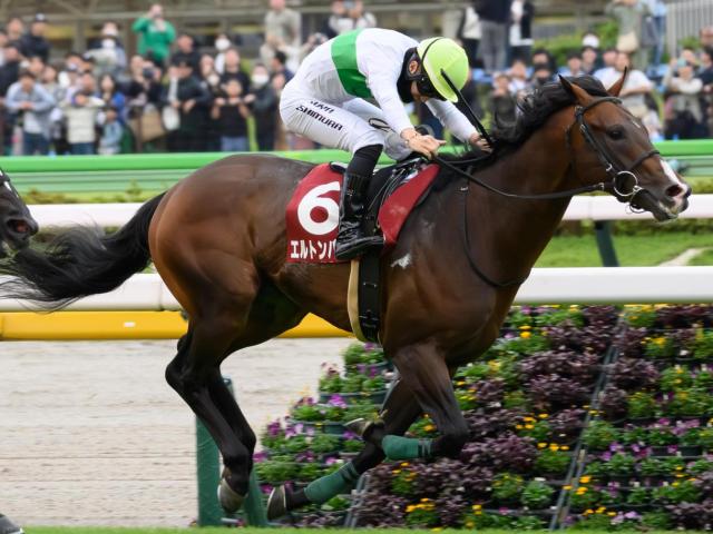 【毎日王冠予想】例年の勝ちパターン馬不在で荒れるレースに？ 過去データから探るGII毎日王冠