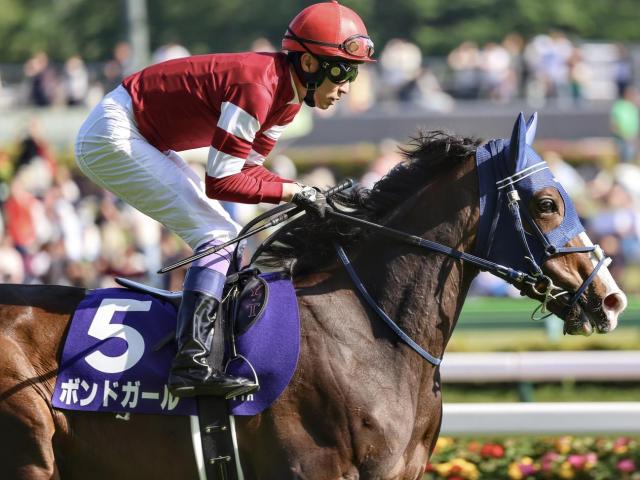 父仔でJRA賞年度代表馬受賞を果たした競走馬一覧 2022年イクイノックスで5件目 | 競馬まとめ - netkeiba