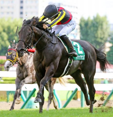 ホープフルS予想・過去10年データ】炙り出た複勝率100%！堅軸馬の条件とは？/競馬予想データ | 競馬まとめ - netkeiba