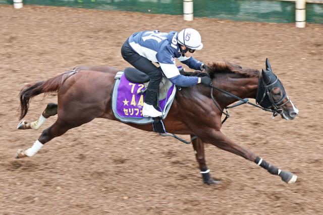 マイルCS 予想】過去10年好走馬のデータから明暗が分かれた人気馬は… 過去10年のレース結果(1～3着馬)のデータ一覧/競馬予想データ | 競馬まとめ  - netkeiba