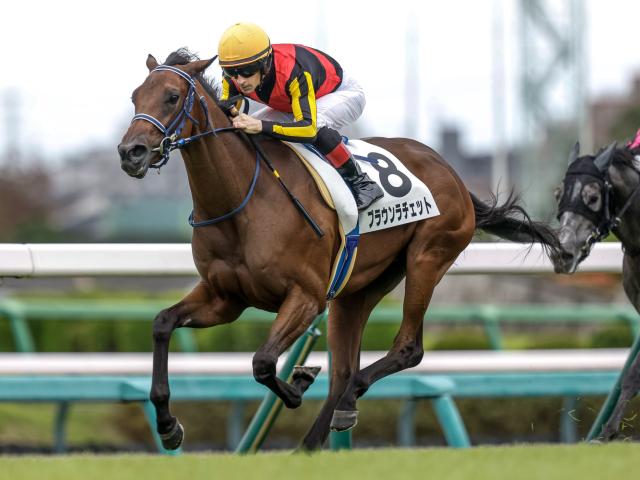 【アルテミスS予想】高期待値は前走未勝利組！ 的中の鍵を握るのは新馬組の取捨