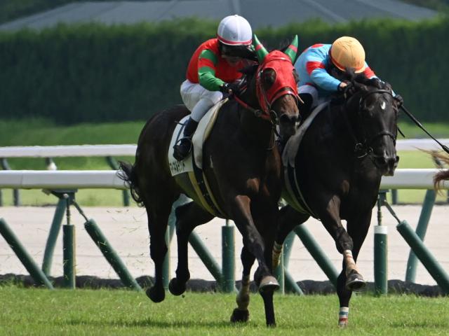 【京王杯2歳S予想】的中の秘訣は前走からの間隔にある!? 重賞好走馬に立ちはだかる試練