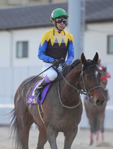 【JBCクラシック】武豊「勝つ時はあそこからグッと来るんですけどね」ノットゥルノは5着