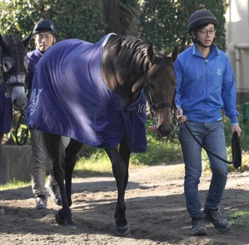 【エリザベス女王杯】(13)サリエラ　名手に全権委任、国枝師「真ん中か内が欲しかったけど…」