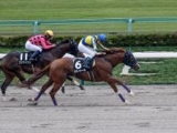  【銀嶺Sレース後コメント】バトゥーキ水口優也騎手ら